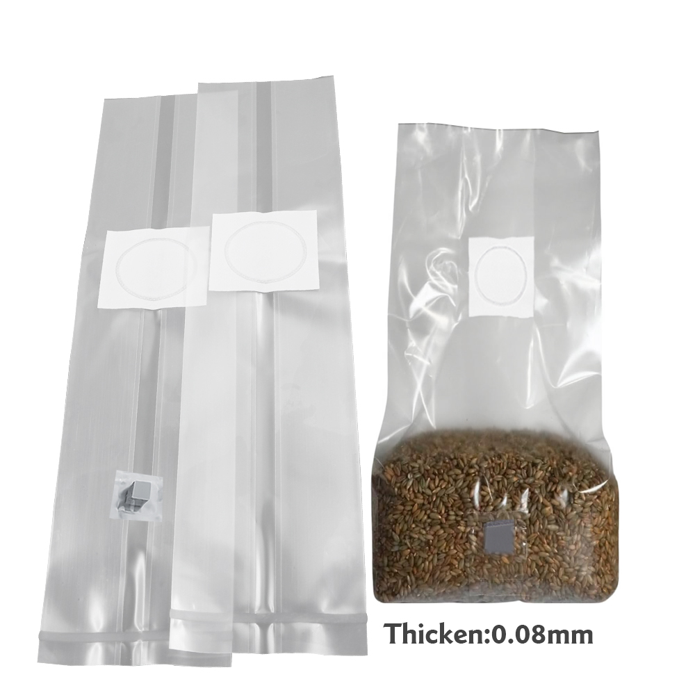 Mushroom Spawn Bag - 10 Bolsas de Cultivo de Micelio