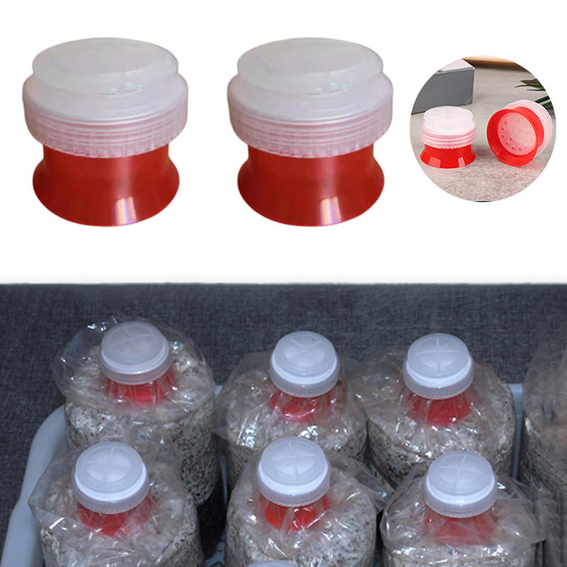 Mushroom Spawn Bag - Bolsa de cultivo de setas, cubierta