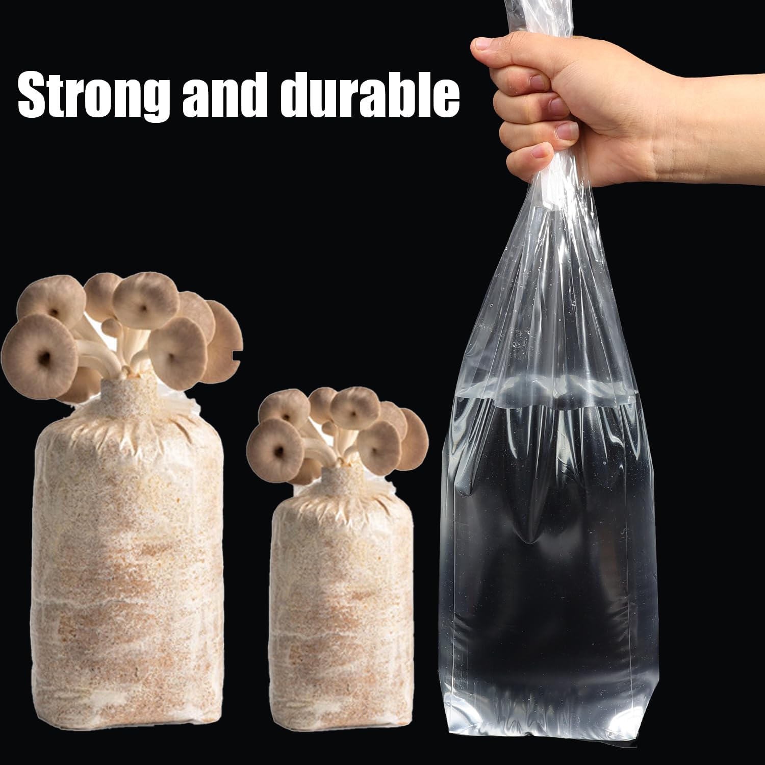 Mushroom Spawn Bag - Bolsa de cultivo de hongos, sustrato