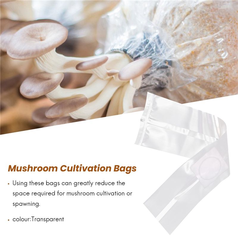100 Bolsas para Cultivo de Hon - Mushroom Spawn Bag reseña y precio