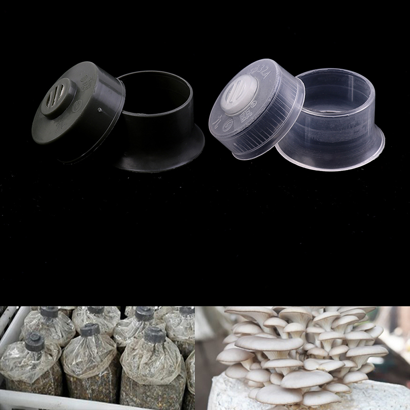Bolsa de cultivo de hongos, an - Mushroom Spawn Bag reseña y precio