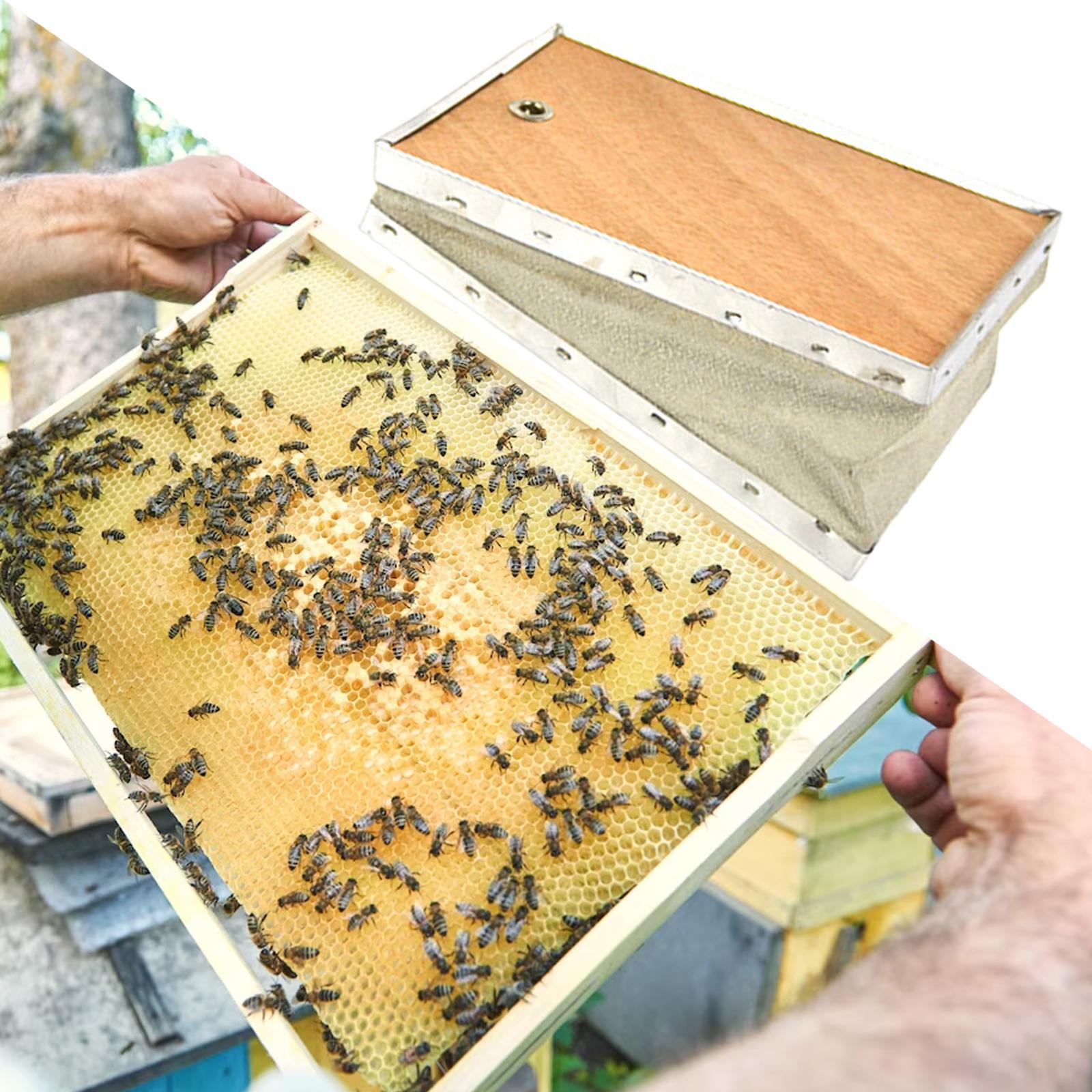 Ahumador de abejas con fuelle, - Bee Smoker Tool reseña y precio