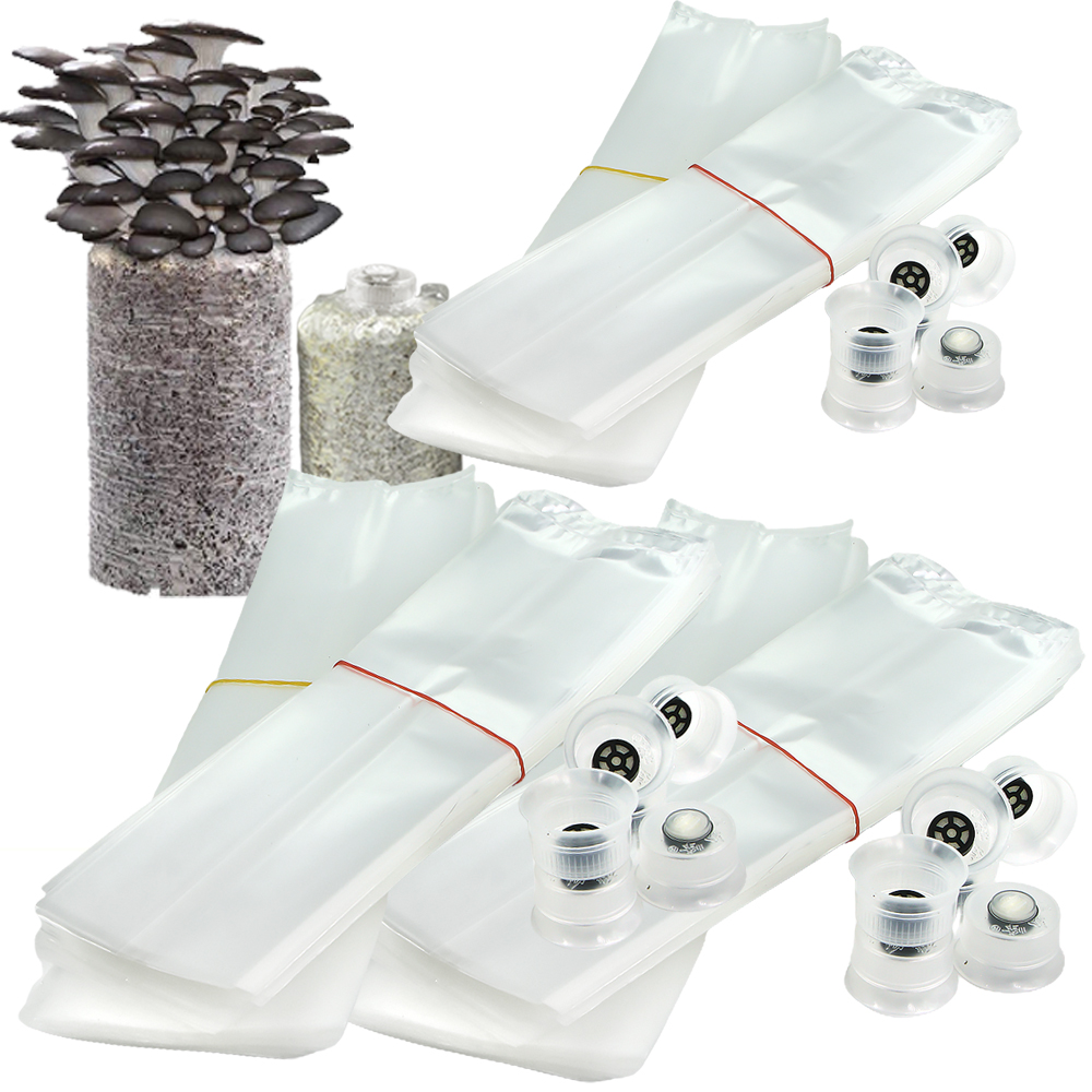 Bolsas de plástico resistentes - Mushroom Spawn Bag reseña y precio