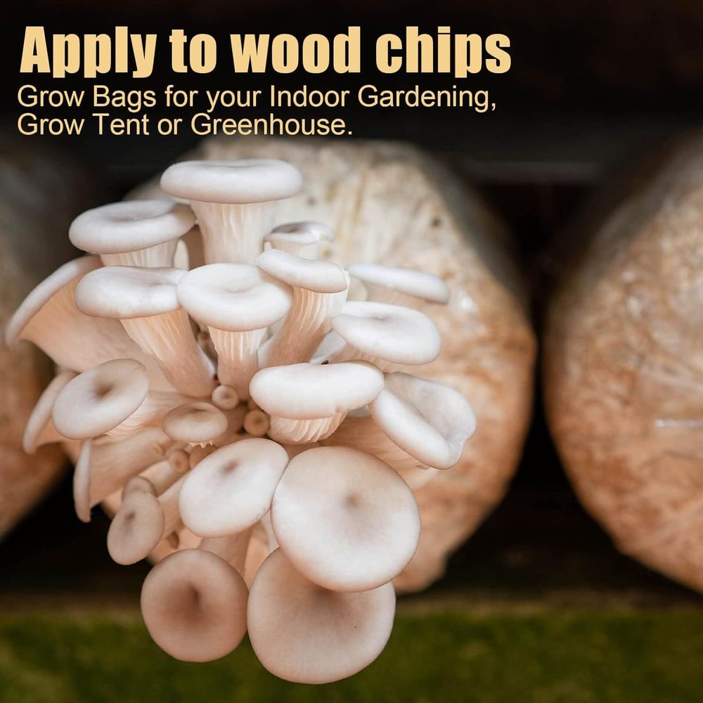 Bolsas para Cultivo de Hongos, - Mushroom Spawn Bag reseña y precio