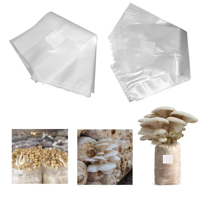 10/20 Bolsas para Cultivo de H - Mushroom Spawn Bag reseña y precio