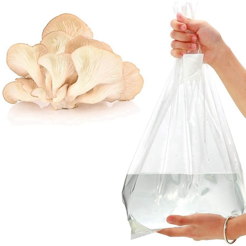PZHI-100 unidades de bolsas pa - Mushroom Spawn Bag reseña y precio