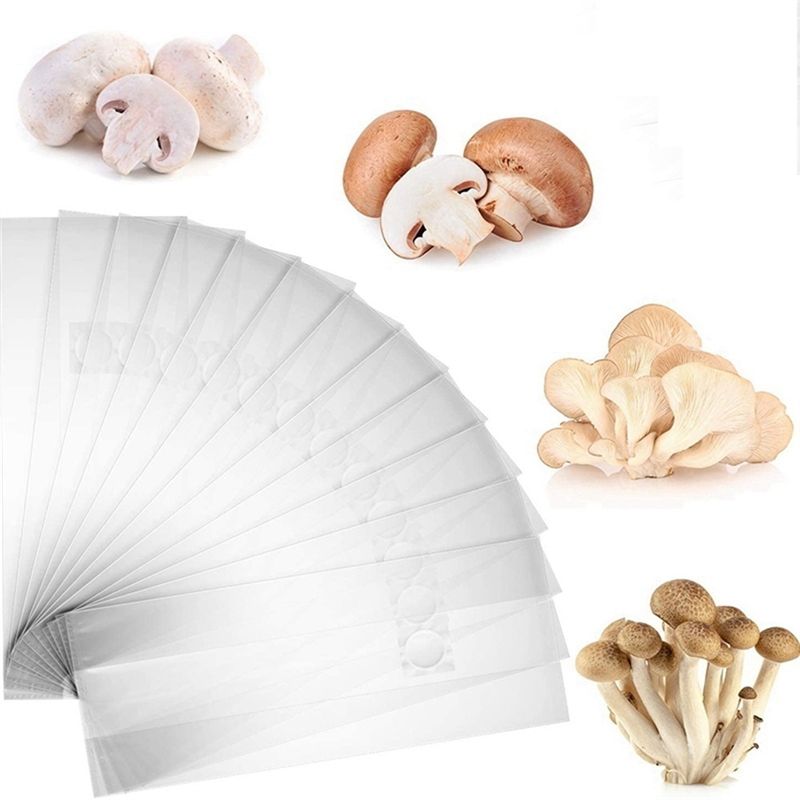 PZHI-100 unidades de bolsas pa - Mushroom Spawn Bag reseña y precio