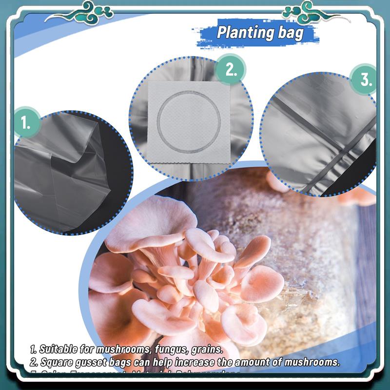 50 Bolsas de Cultivo de Hongos - Mushroom Spawn Bag reseña y precio