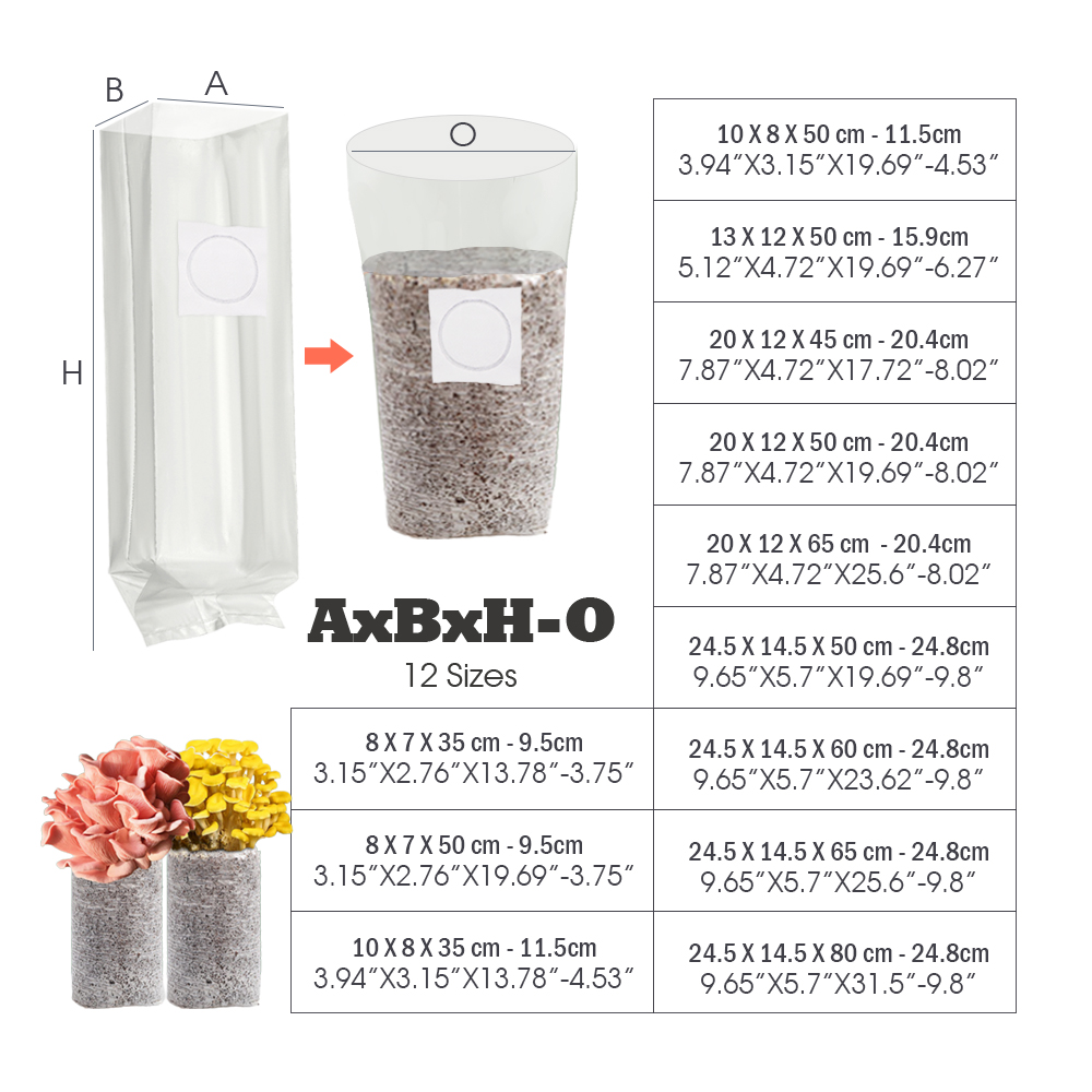10 unidades de parches filtran - Mushroom Spawn Bag reseña y precio