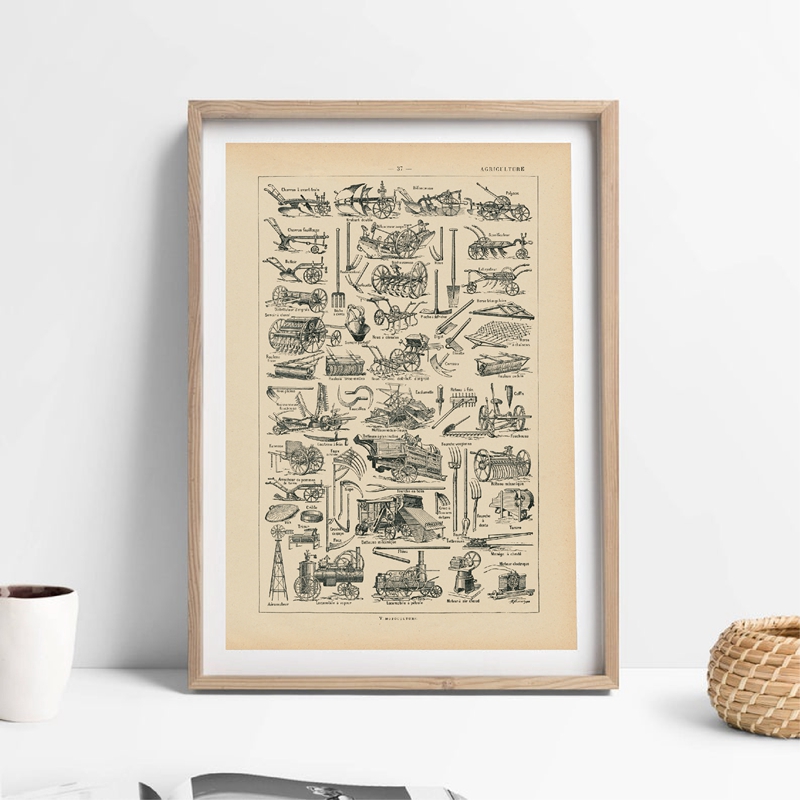 Equipo agrícola, herramientas  - Agriculture Farming Poster reseña y precio
