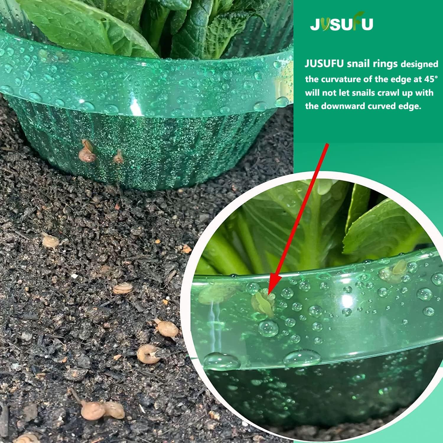 1/30 unidades Anillos de prote - Vegetable Transplanter reseña y precio