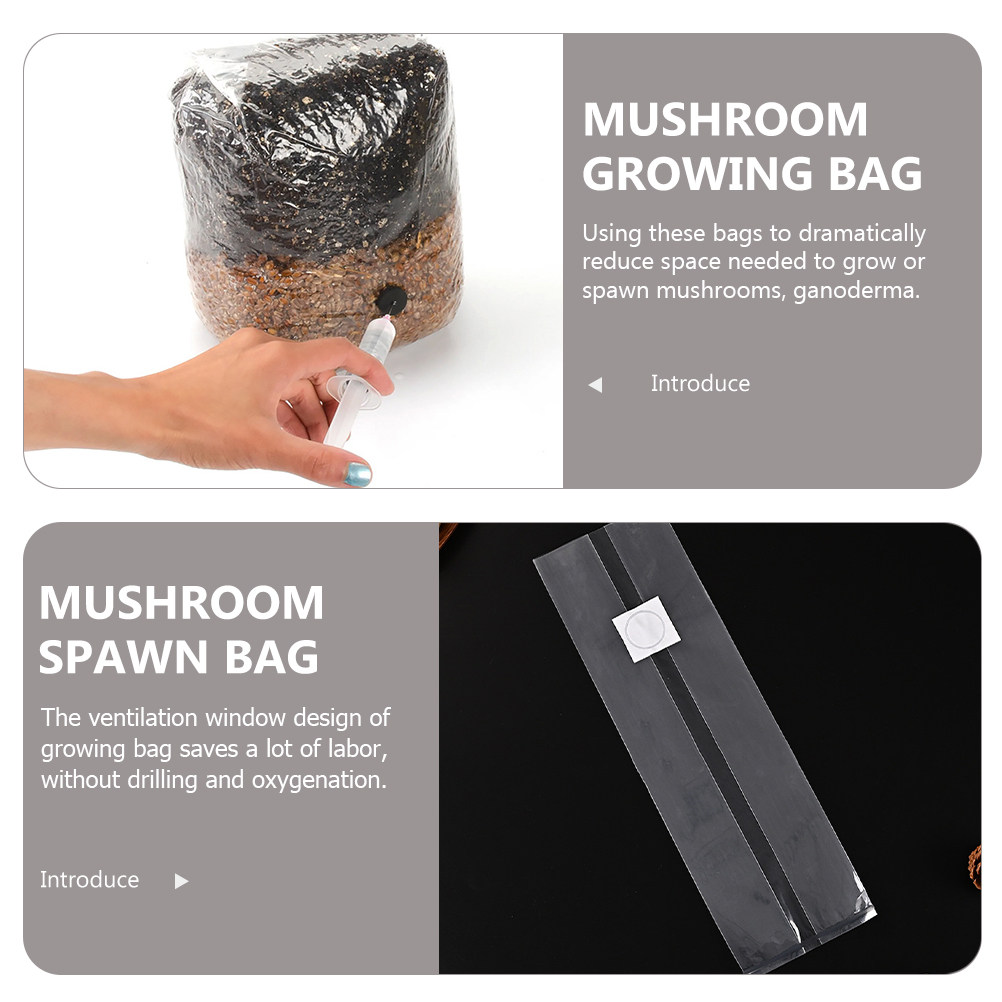 20 Bolsas Transparentes de PP  - Mushroom Spawn Bag reseña y precio