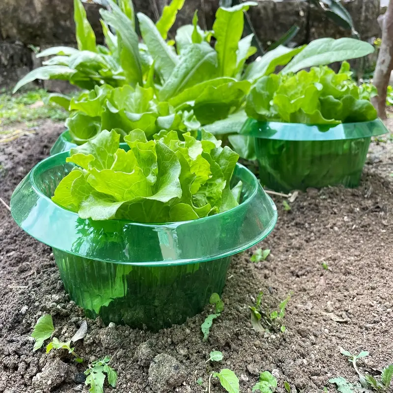 Anillos de protección de lodo  - Vegetable Transplanter reseña y precio