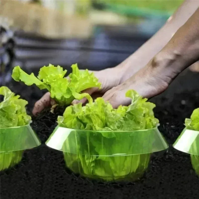 Anillos de protección de lodo  - Vegetable Transplanter reseña y precio