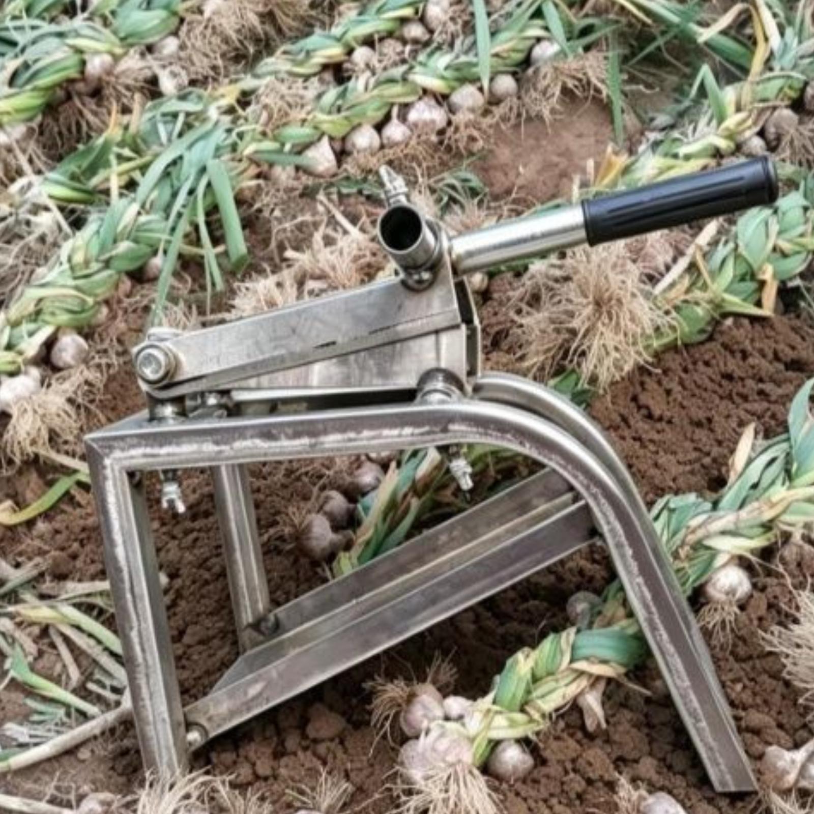 Picador Manual de Ajo, Cuchill - Farming Agriculture Stocks reseña y precio