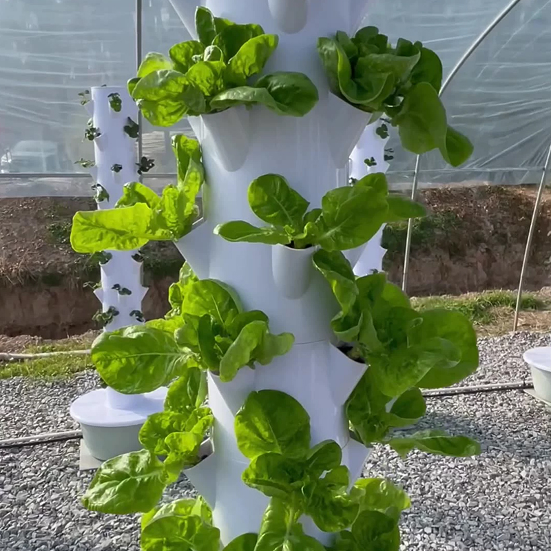 Con luz Led para cultivo, árbo - Vegetable Transplanter reseña y precio