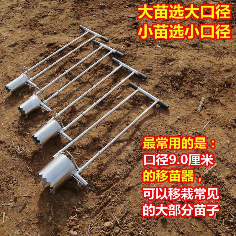Trasplantadora de plántulas de - Vegetable Transplanter reseña y precio