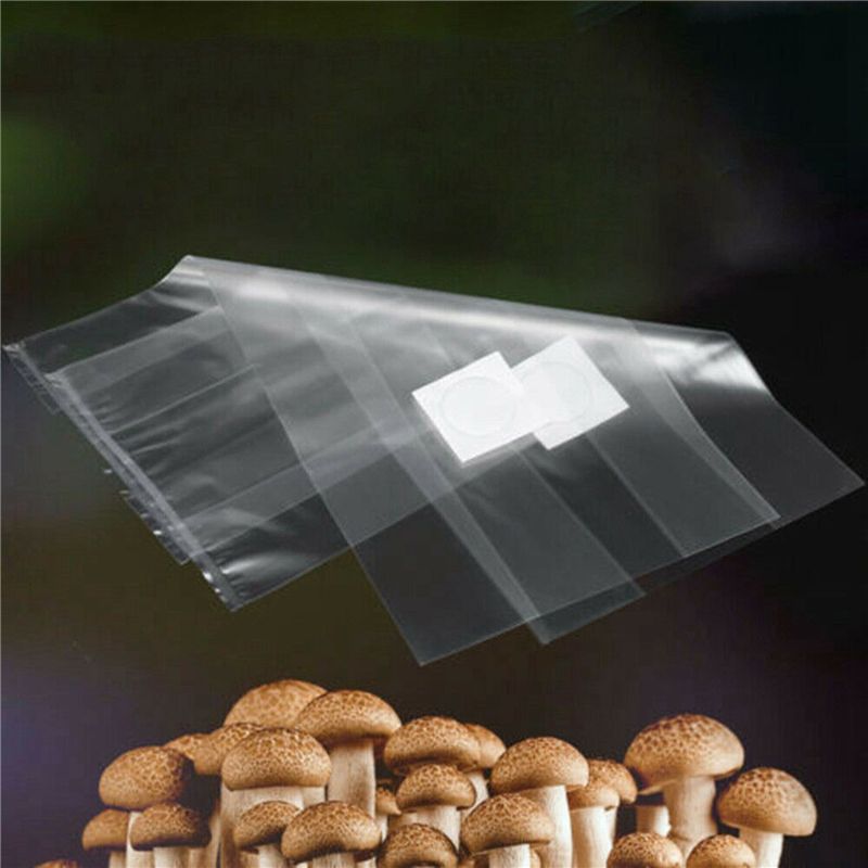 Y50A-250 Piezas Bolsas Transpa - Mushroom Spawn Bag reseña y precio