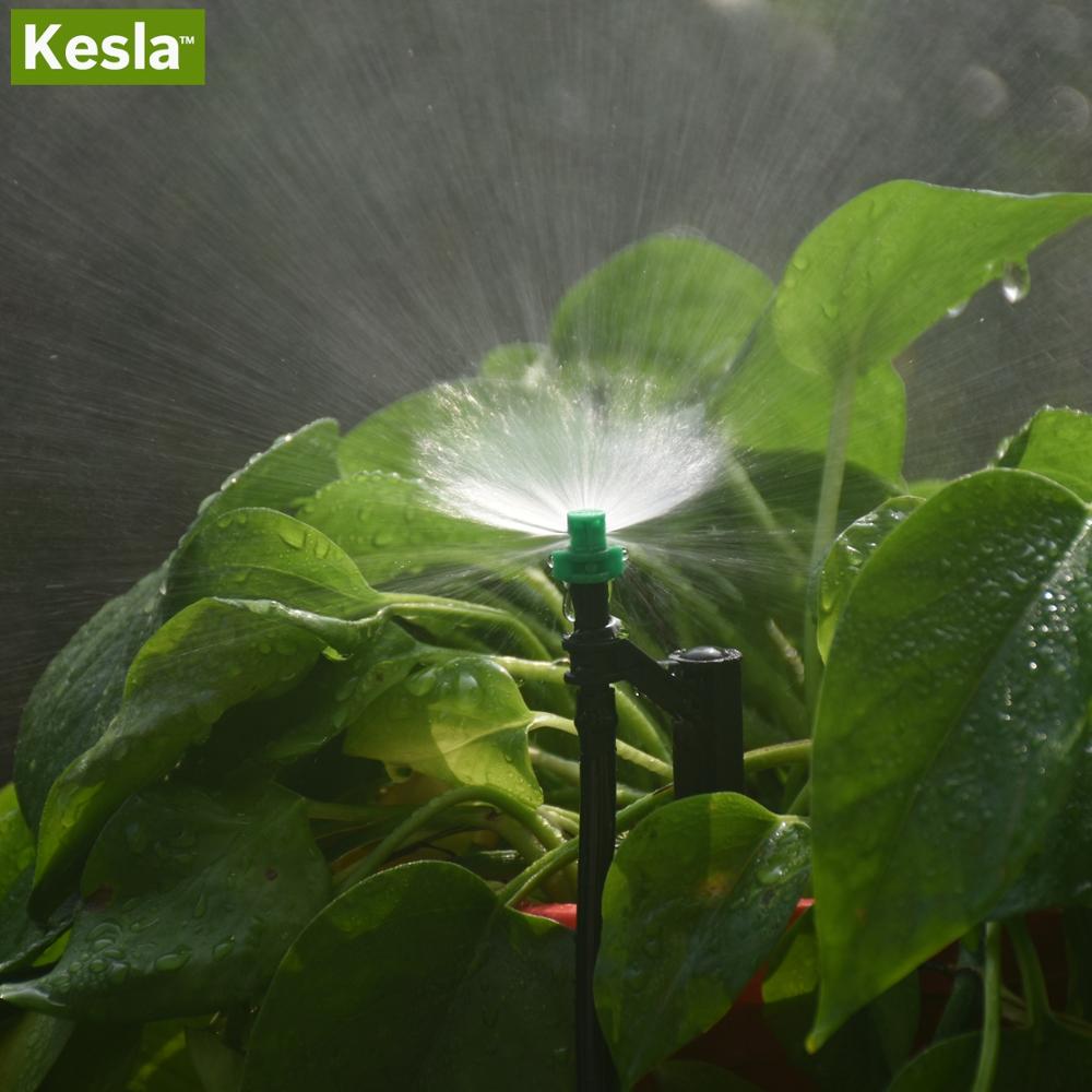 KESLA 20 piezas-boquilla de ne - Agriculture Farming Degree reseña y precio